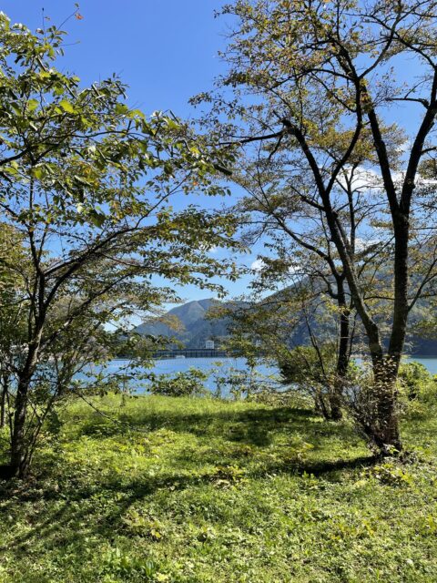 木々の隙間から見える青空と奥多摩湖