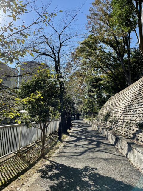 入り口（江戸川公園）