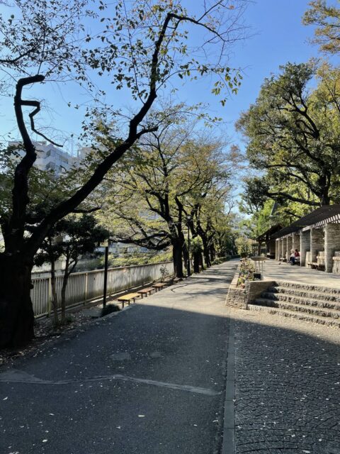 石の広場（江戸川公園）