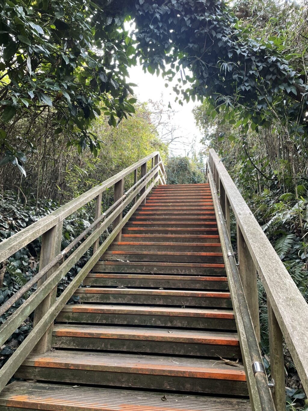 階段（猿島公園）