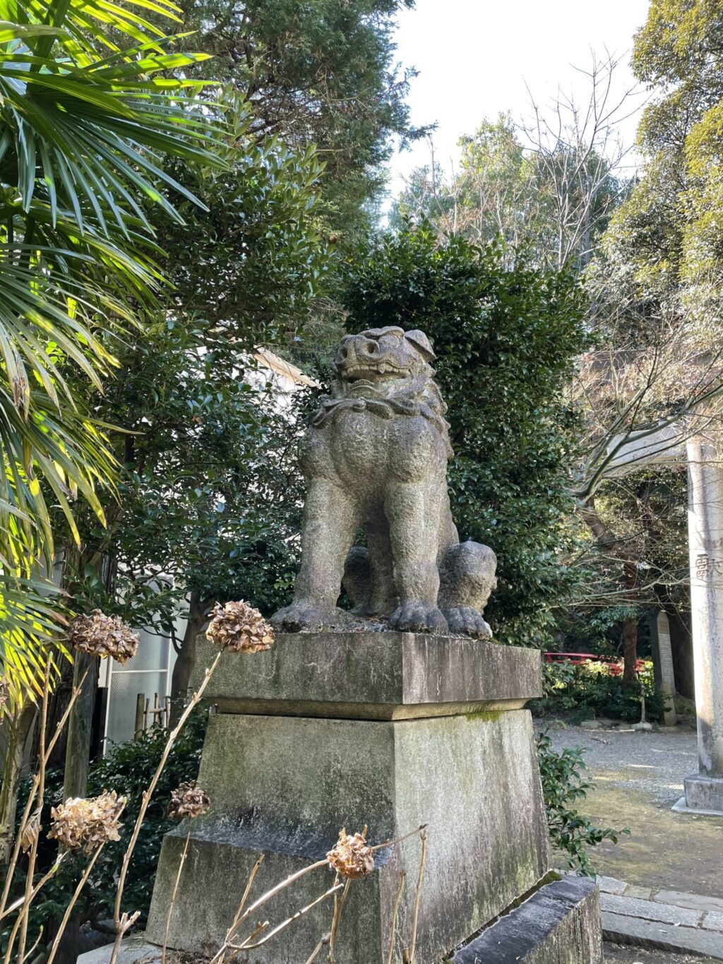 狛犬①（赤坂氷川神社）