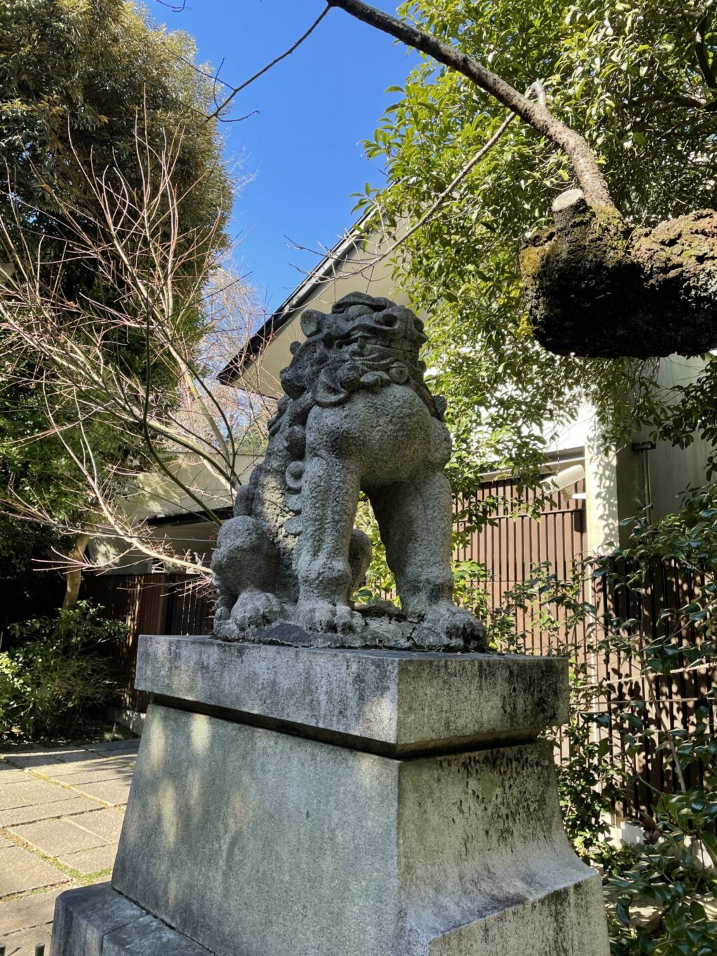 狛犬①（赤坂氷川神社）
