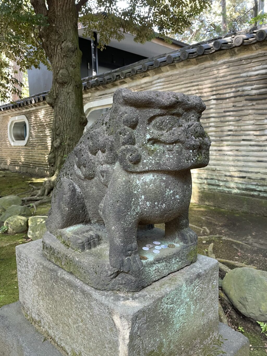 狛犬⑤（赤坂氷川神社）