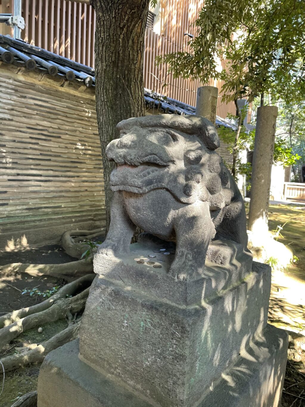 狛犬⑤（赤坂氷川神社）