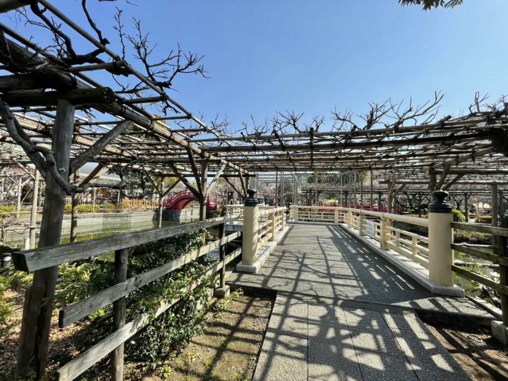 境内中央の橋（亀戸天神社）