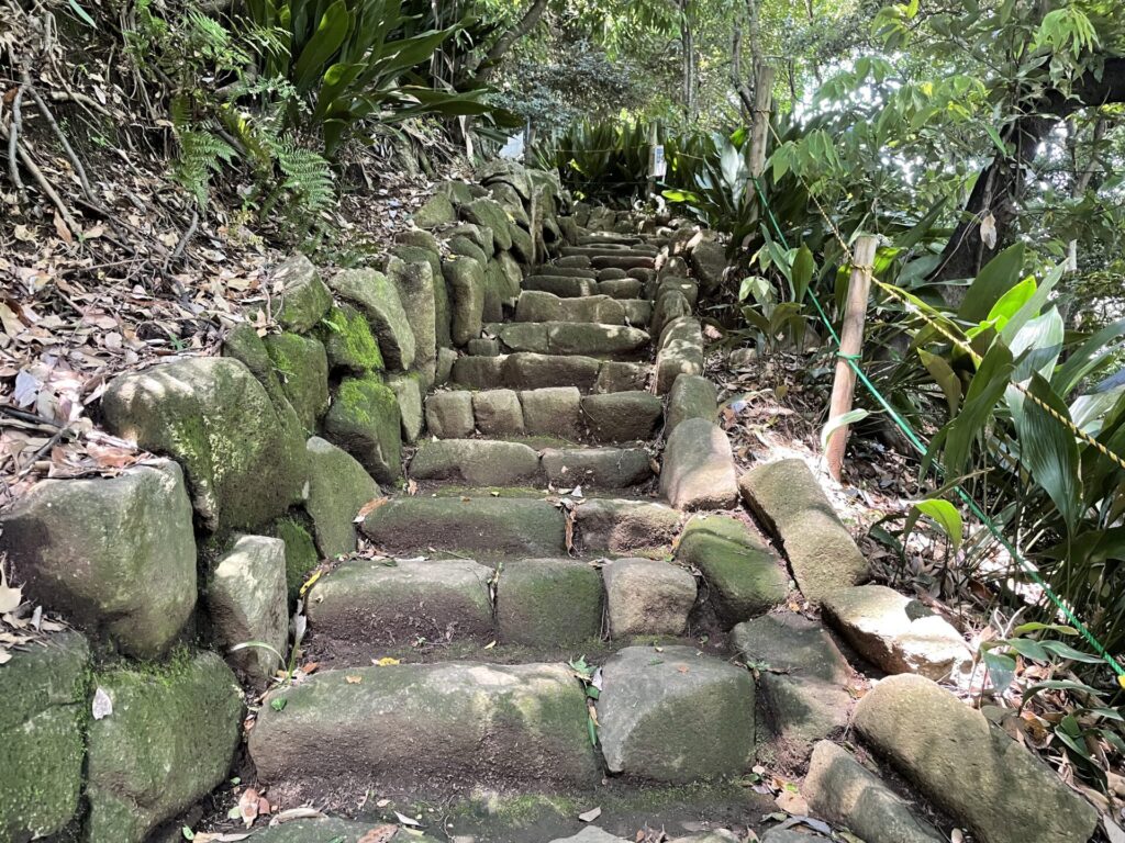 階段（名主の滝公園）