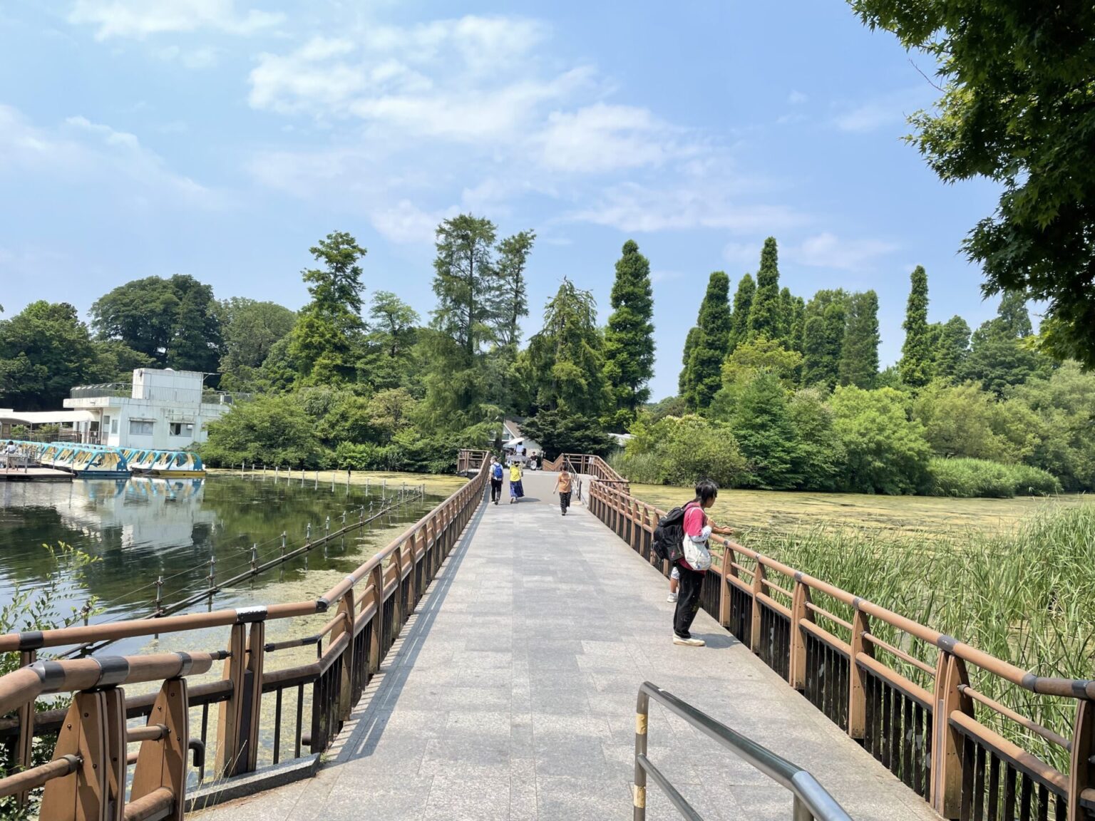 七井橋（井の頭恩賜公園）