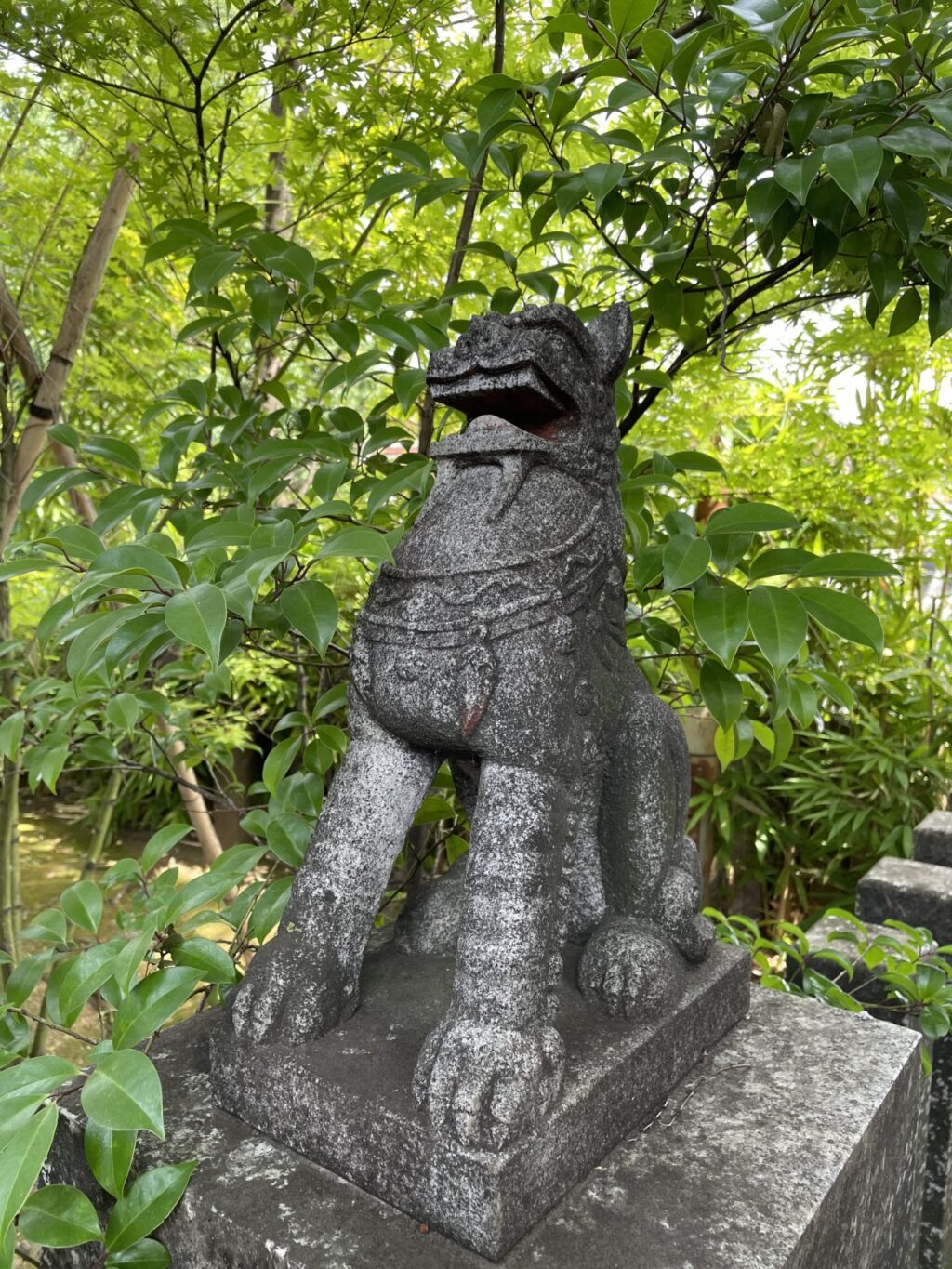 狛犬②（須賀神社）
