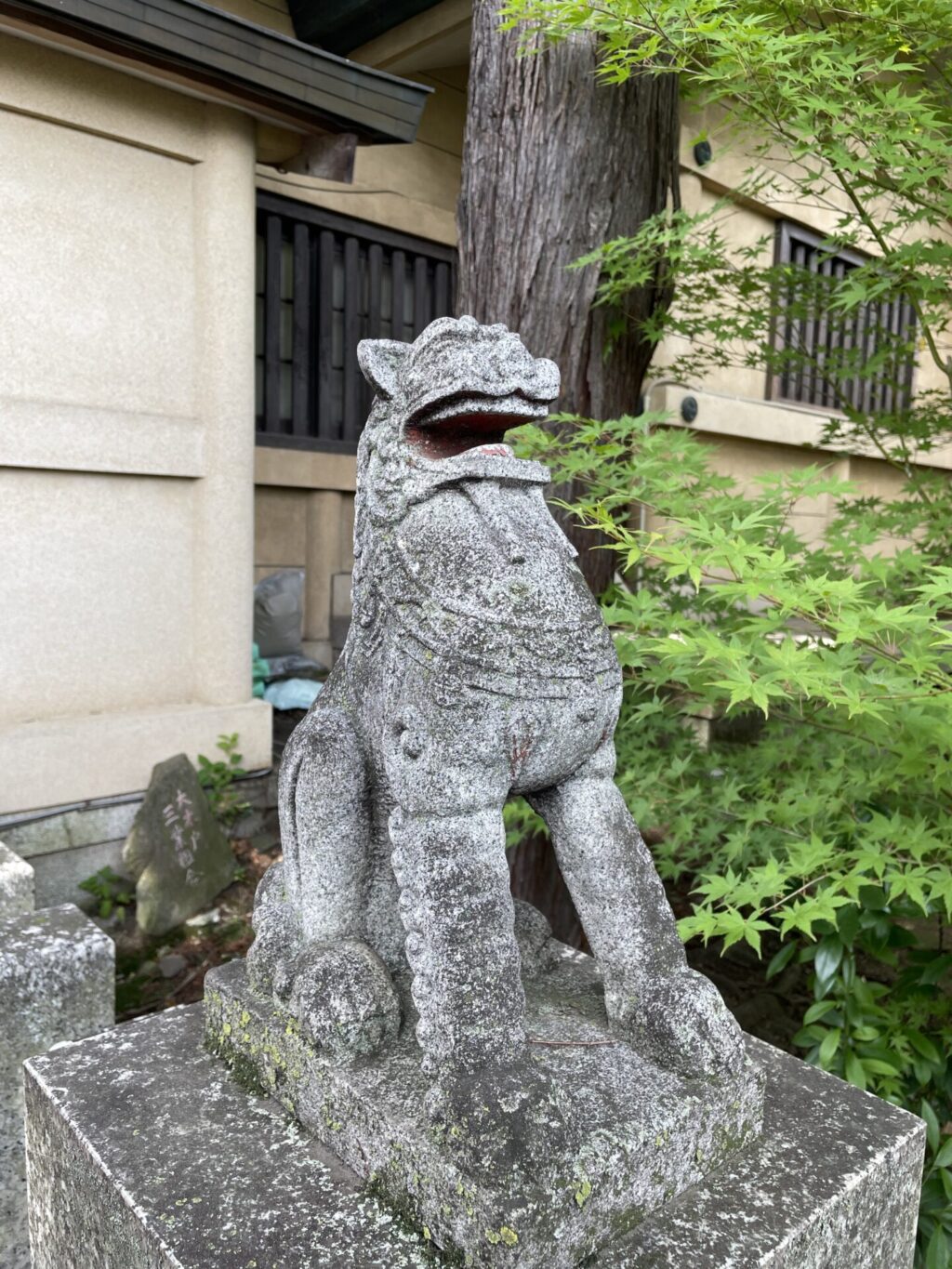 狛犬②（須賀神社）