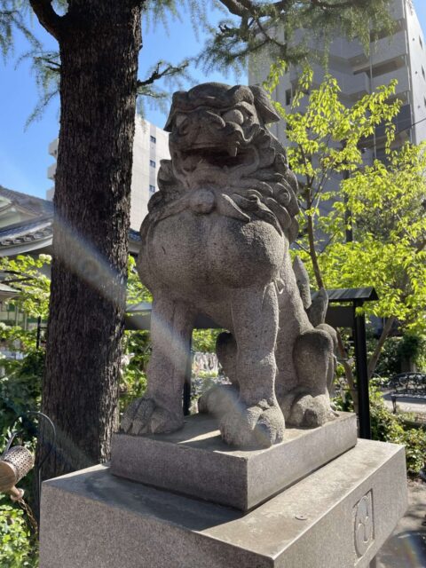 狛犬②（今戸神社）