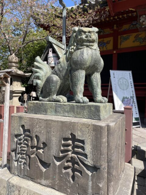 狛犬②（浅草神社）