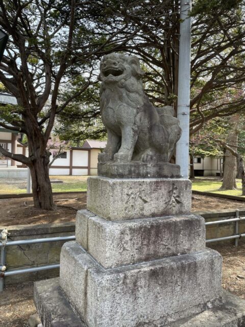 狛犬②（岩内神社）