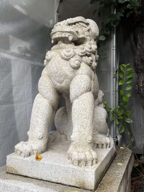 狛犬②（天祖神社）