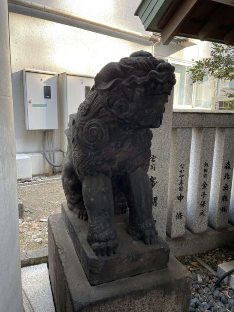 狛犬②（築土神社）