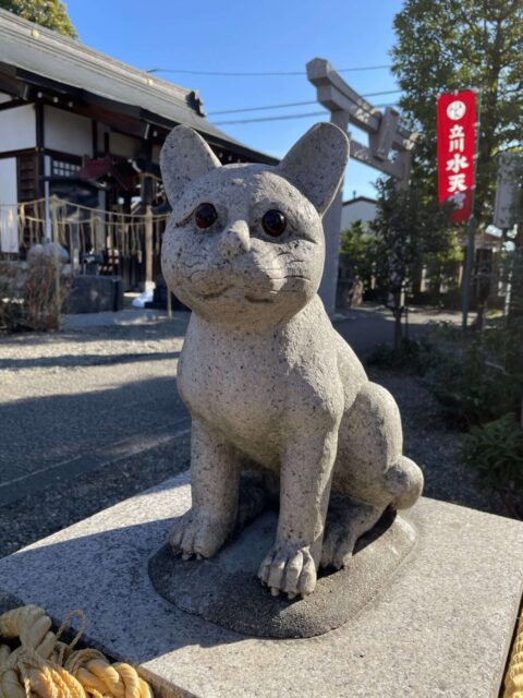 猫の石像（阿豆佐味天神社）