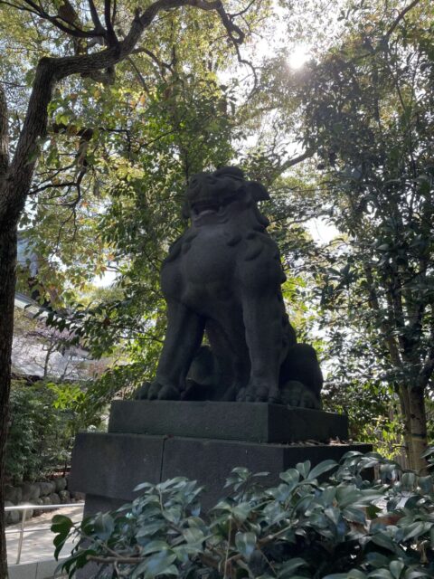 狛犬②（寒川神社）