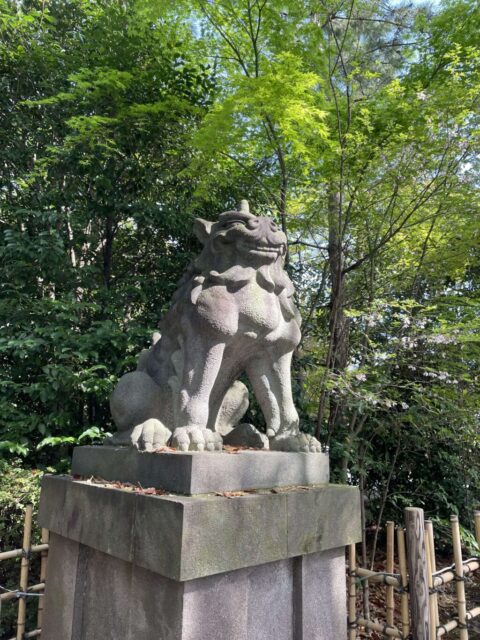 狛犬②（寒川神社）
