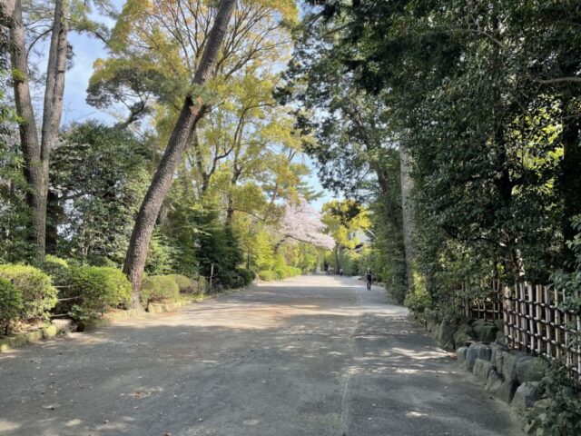 外門への道（寒川神社）