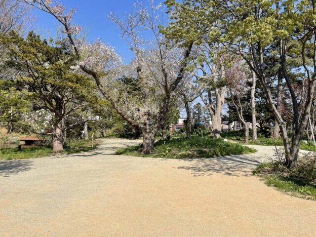 迎賓の場（岩内町）