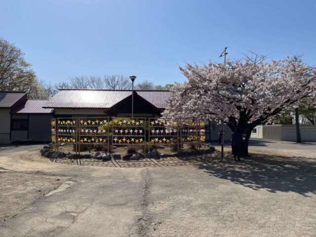 参道→「社務所」（岩内神社）