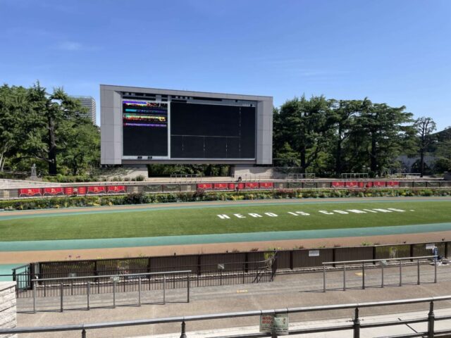 パドック（東京競馬場）