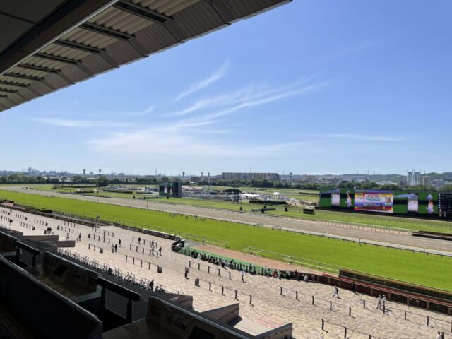 指定席→「左側」（東京競馬場）