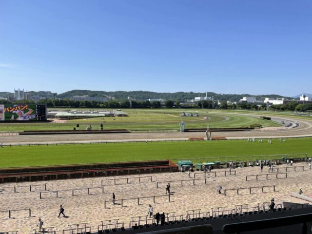 指定席→「正面」②（東京競馬場）