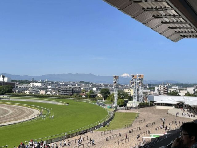 指定席→「右側」（東京競馬場）