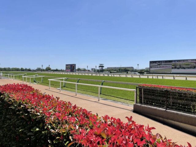 埒沿いからの景色（東京競馬場）