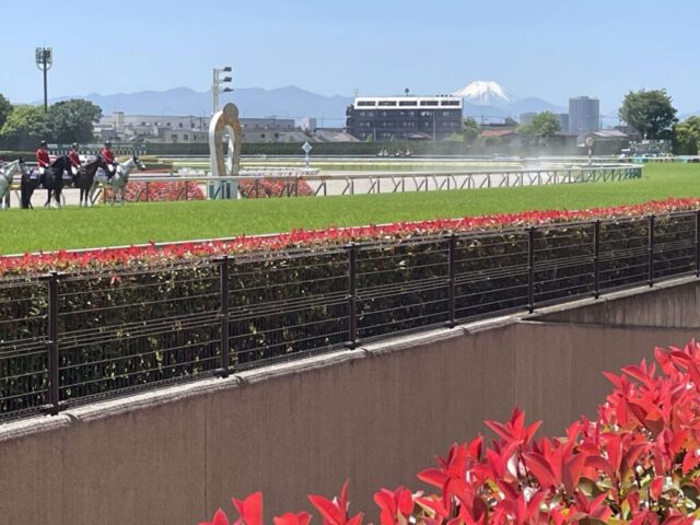 埒沿い→「富士山」（東京競馬場）