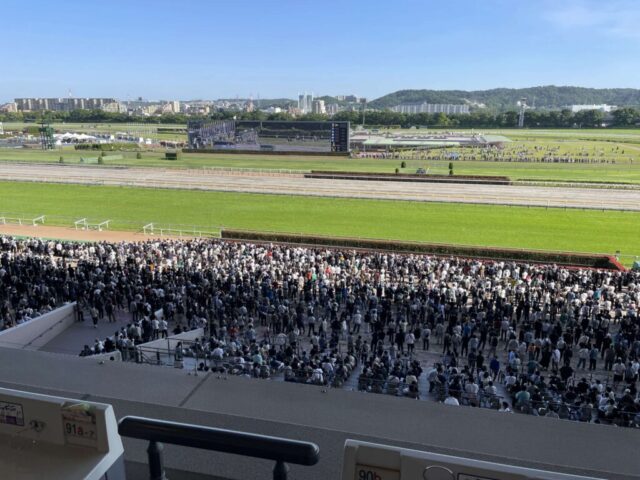 指定席→「観客席」（東京競馬場）