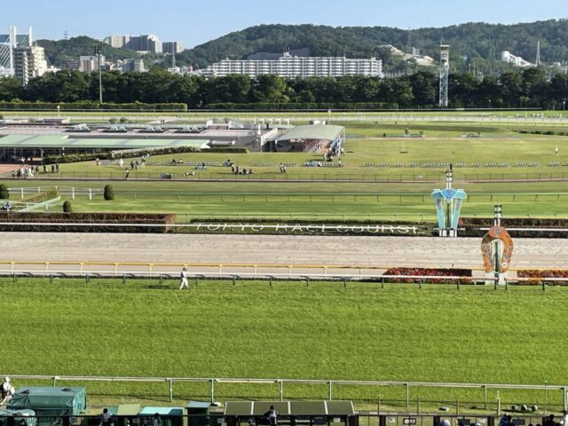 指定席→「ゴール」（東京競馬場）