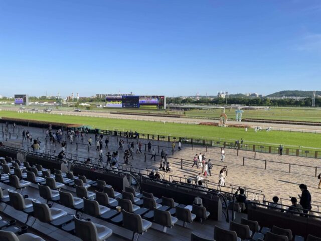 観客席（東京競馬場）