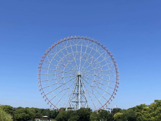 中央園路→「観覧車」（葛西臨海公園）