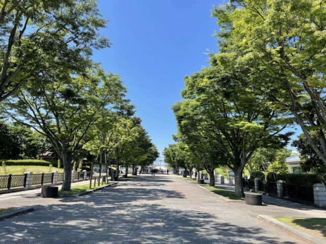 中央園路③（葛西臨海公園）