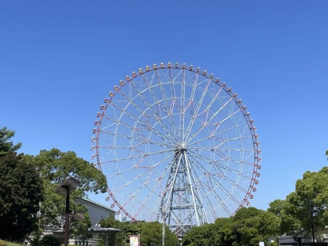 中央園路→「観覧車」②（葛西臨海公園）