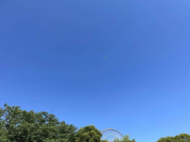 中央園路→「青空」（葛西臨海公園）