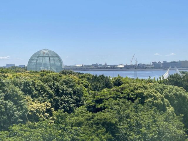 クリスタルビュー→「葛西臨海水族園」（葛西臨海公園）