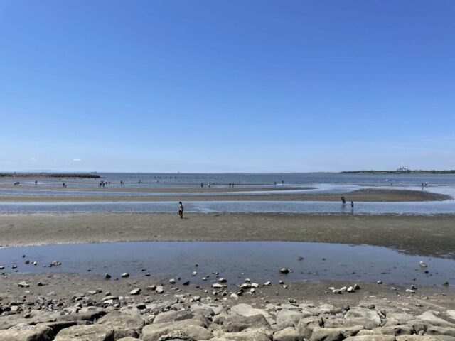 西なぎさ→「東京湾」（葛西臨海公園）