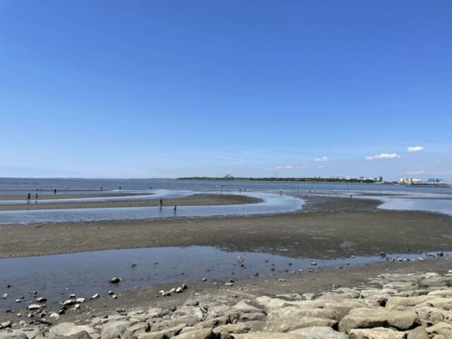 西なぎさ→「東京湾」②（葛西臨海公園）