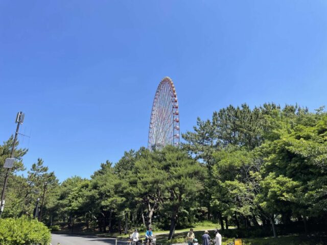 サクラ並木 手前→「観覧車」（葛西臨海公園）