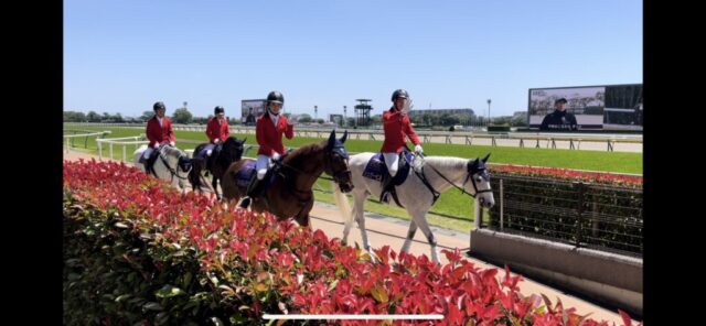 誘導馬（東京競馬場）