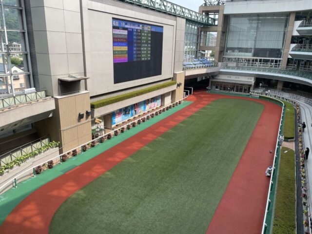 パドック②（福島競馬場）