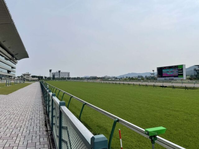 芝コース④（福島競馬場）