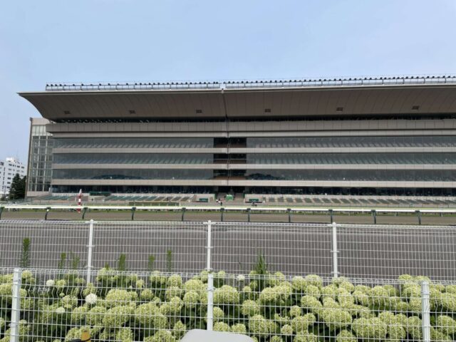 馬場内→「観客席」（福島競馬場）