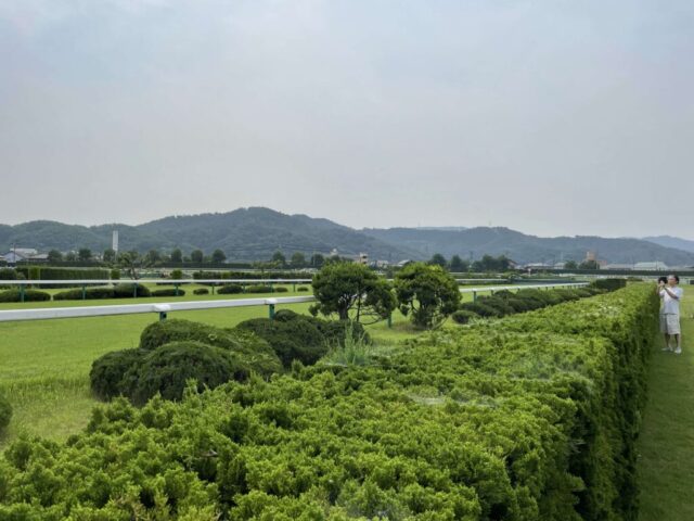 馬場内→「障害競走コース」（福島競馬場）