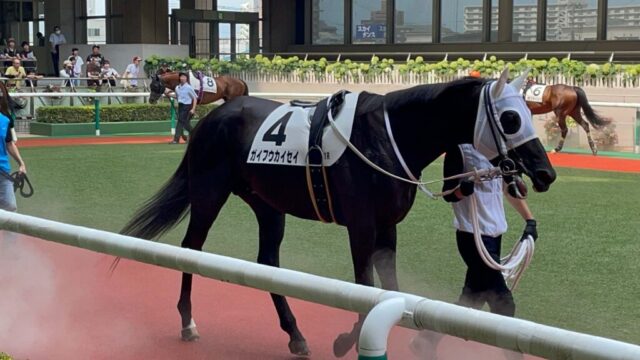 パドック 1R（福島競馬場）