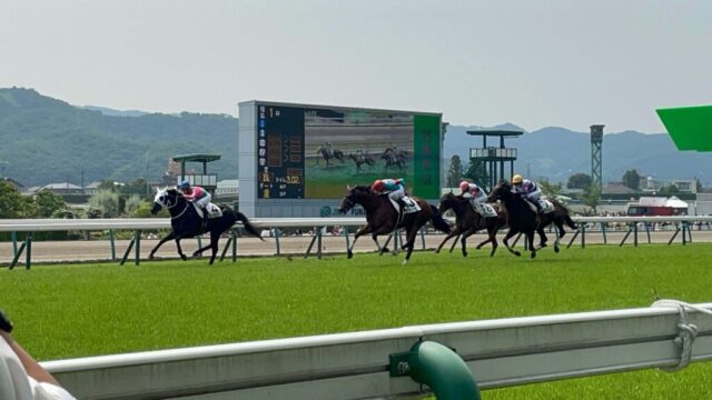 第１Ｒ　障害3歳以上未勝利　2,770メートル（芝）→「ゴール前」