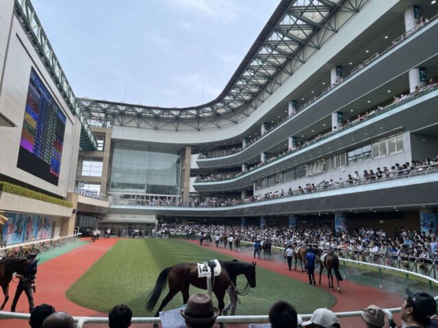 パドック 2R（福島競馬場）