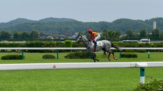 本馬場入場 4R②（福島競馬場）